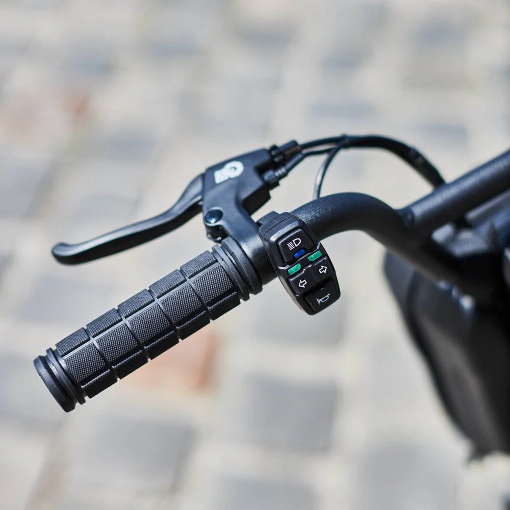 Trottinette Électrique Dualtron Togo Limited : Citadine et Puissante